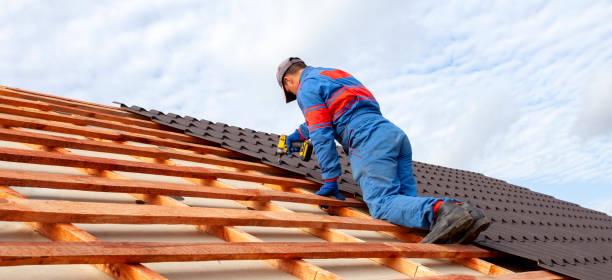 Best Sheet Metal Roofing  in Meadowbrook, VA