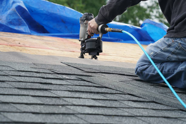 Best Rubber Roofing (EPDM, TPO)  in Meadowbrook, VA