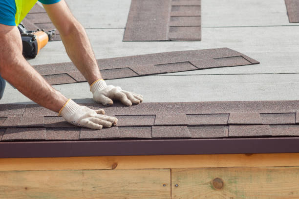 Best Roof Repair  in Meadowbrook, VA