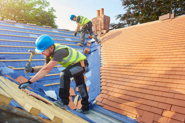 Best Roof Restoration  in Meadowbrook, VA